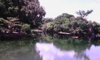/album/hotel-villas-del-lago/img-20140626-093958-copia-2-jpg/